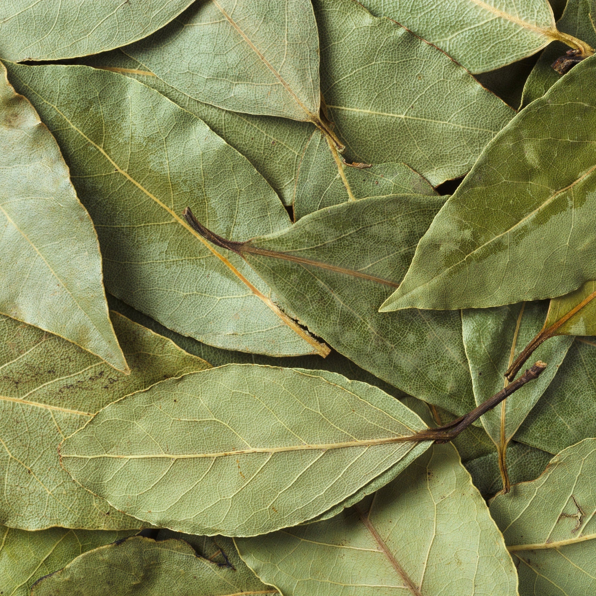 Organic Bay Leaf - Whole and Broken