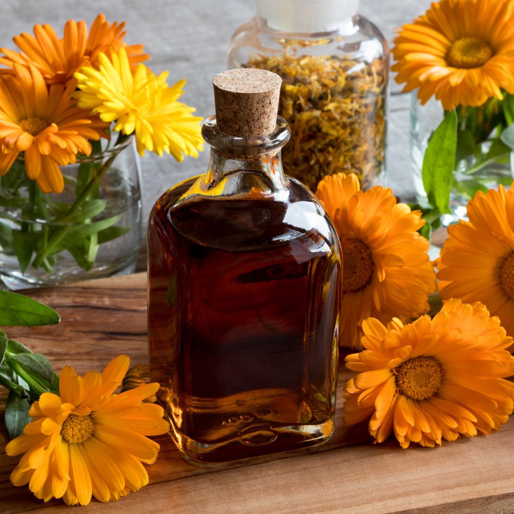 Calendula Petals - Wildcrafted