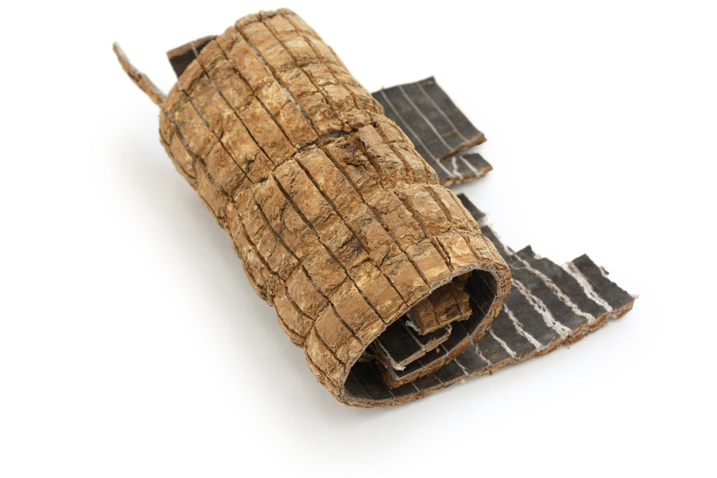 Eucommia Bark ulmoides Wildcrafted