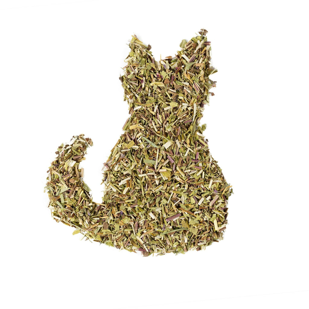 Organic Catnip Leaf and Flower