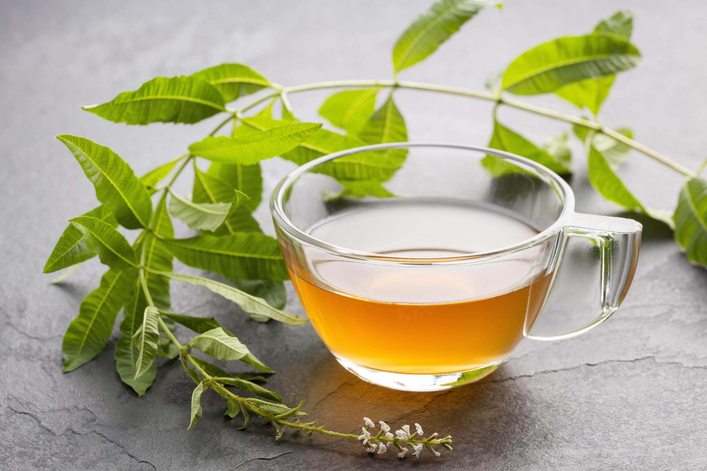 Organic Lemon Verbena