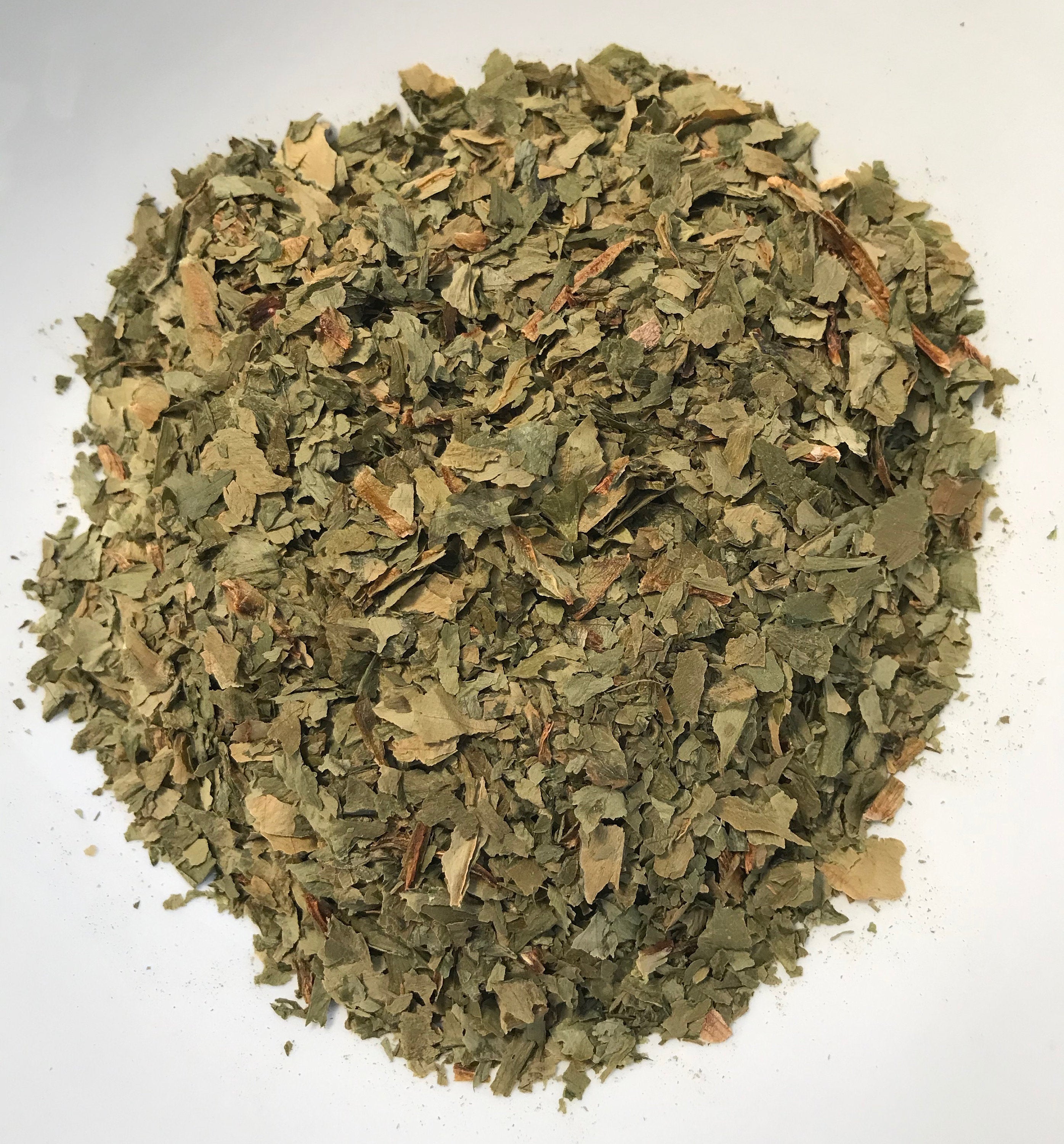 Garlic Ransoms Wild Garlic Wildcrafted