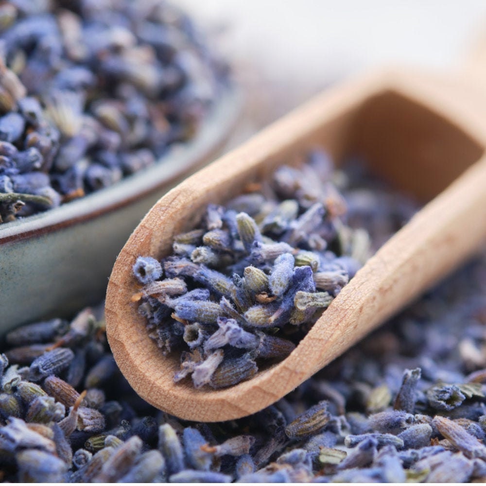 Organic English Lavender Flowers - Lavandula angustifolia