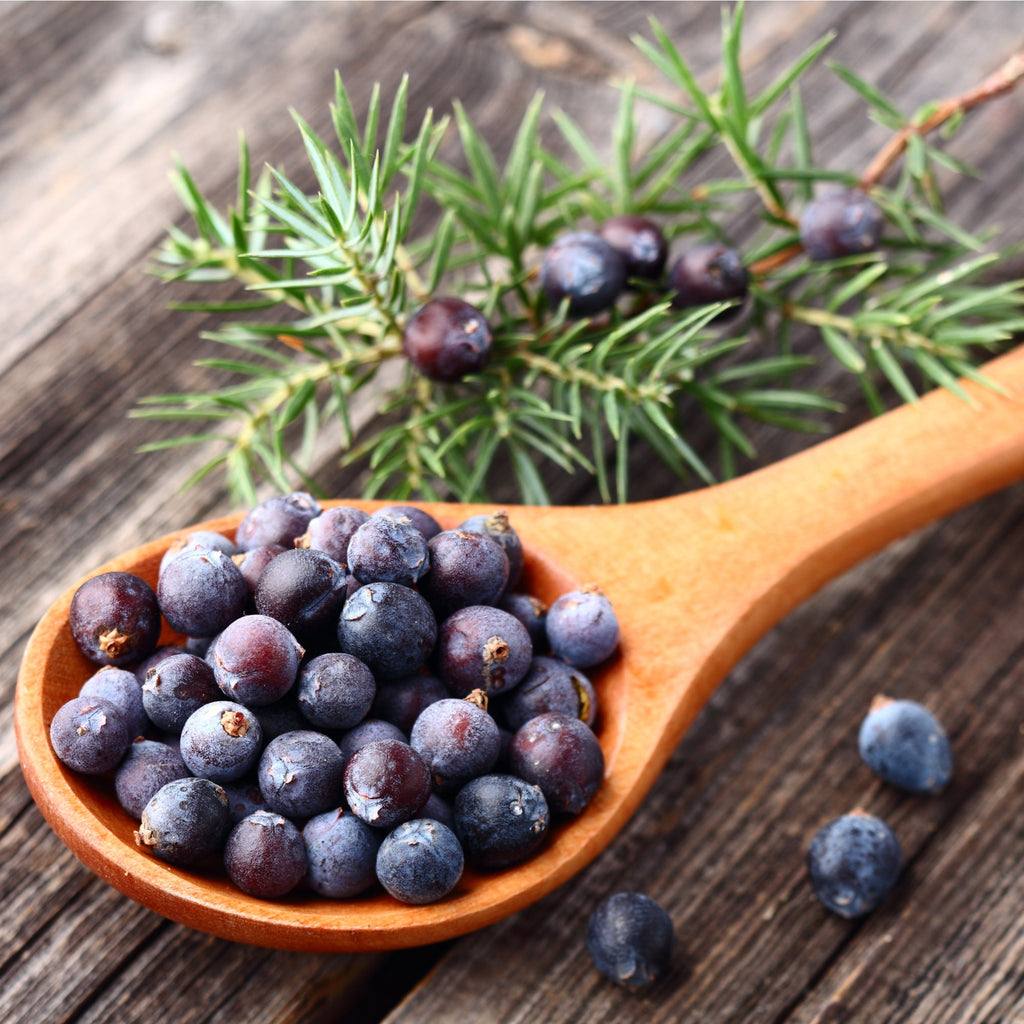 Juniper Berries Whole Wildcrafted