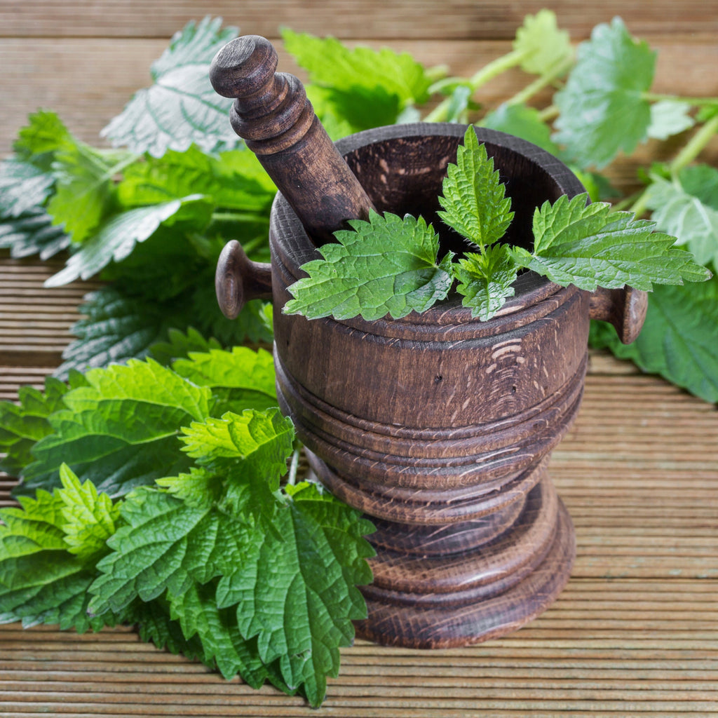 Organic Nettle Leaf - Urtica dioica
