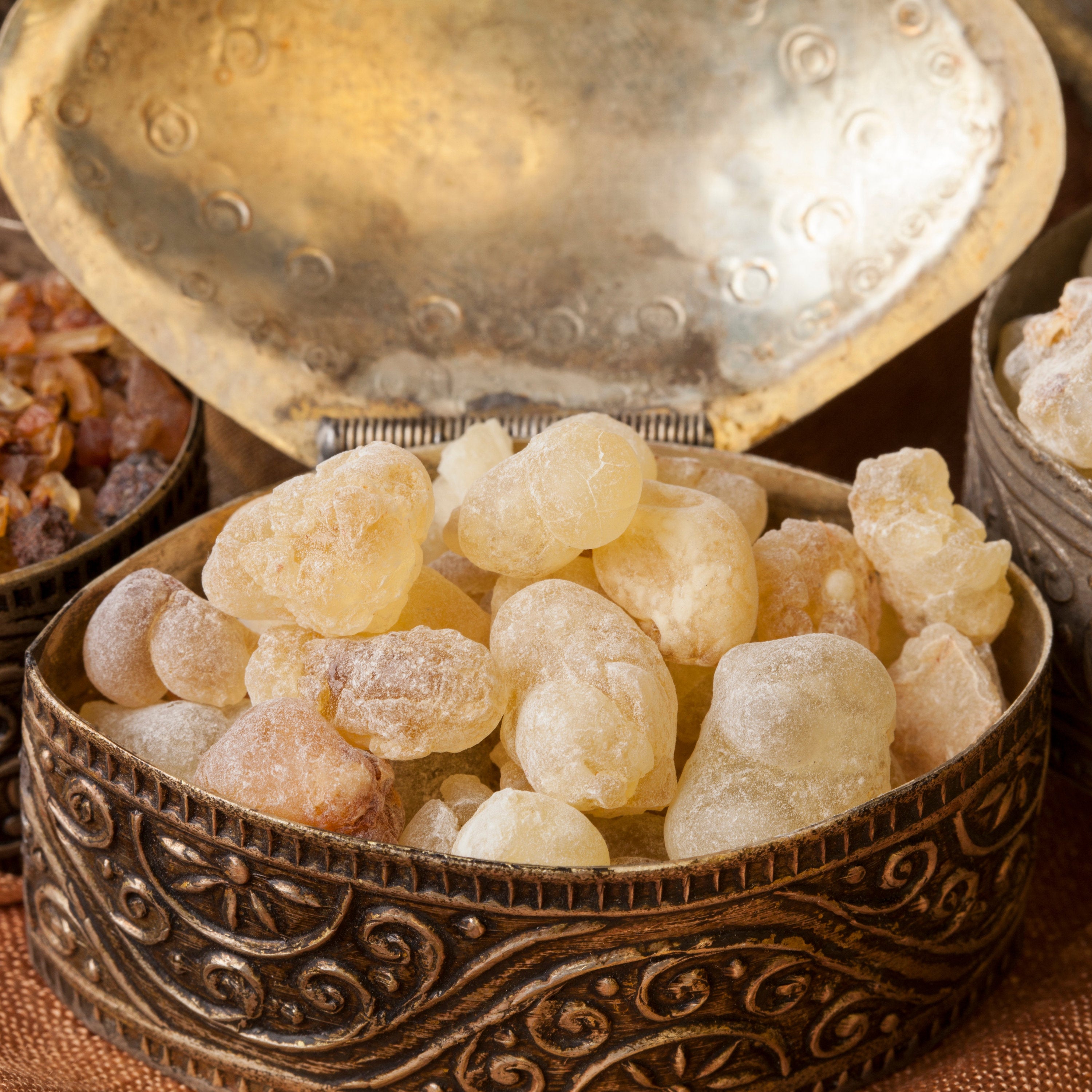 Frankincense Tears Wild Crafted Boswellia carteri