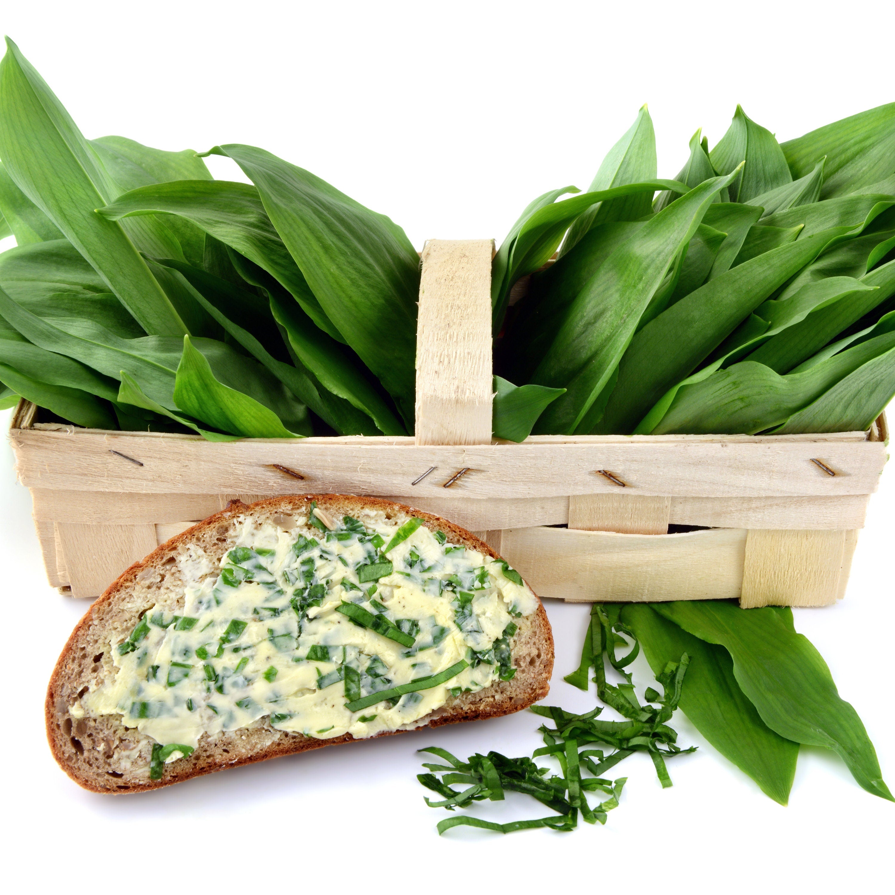 Garlic Ransoms Wild Garlic Wildcrafted