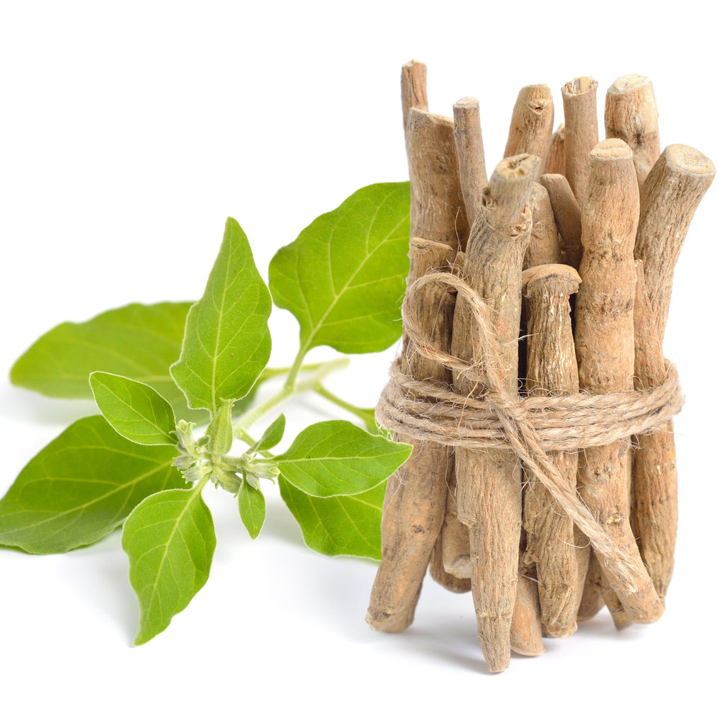 Organic Ashwagandha Root