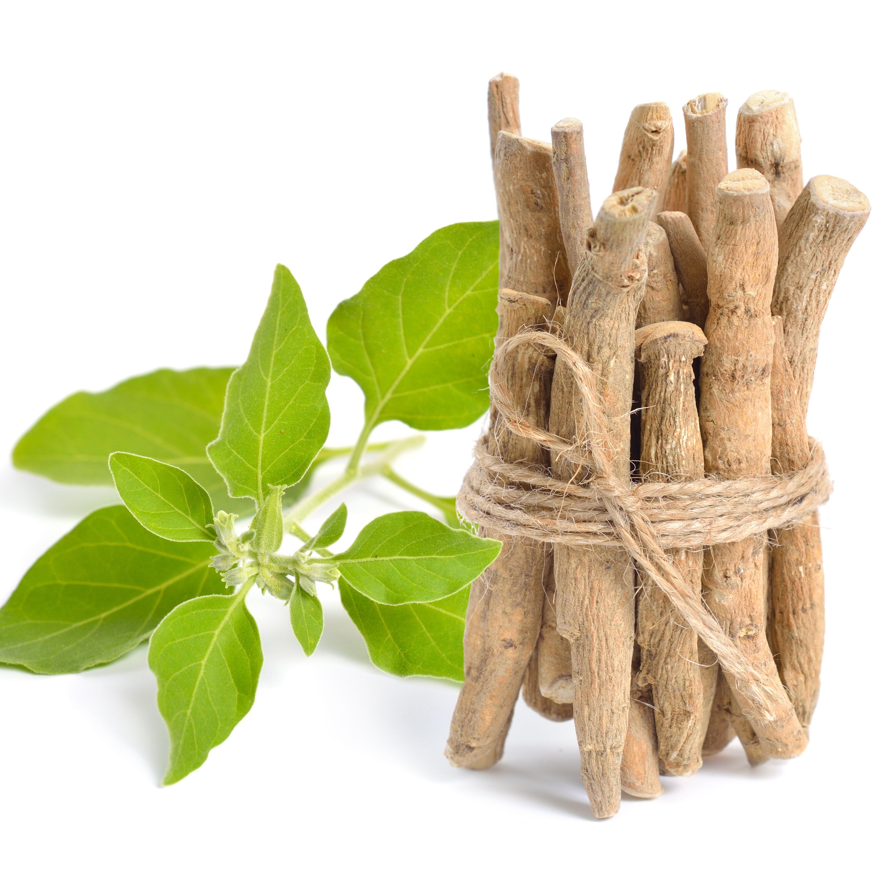 Organic Ashwagandha Root
