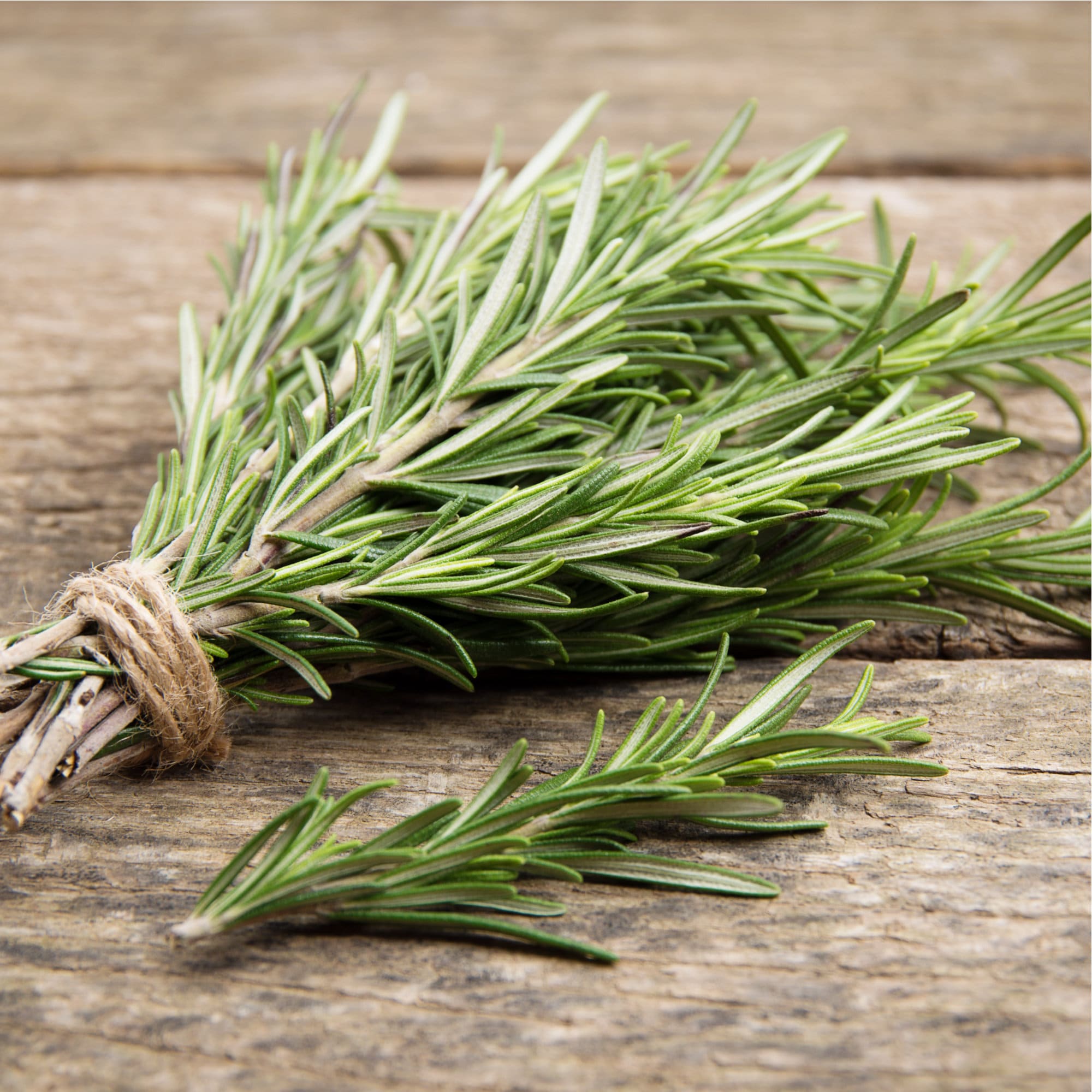 Organic Rosemary Leaf: Culinary Herb & Spice