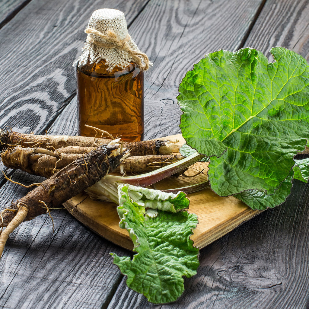 Organic Burdock Root - Arctium lappa