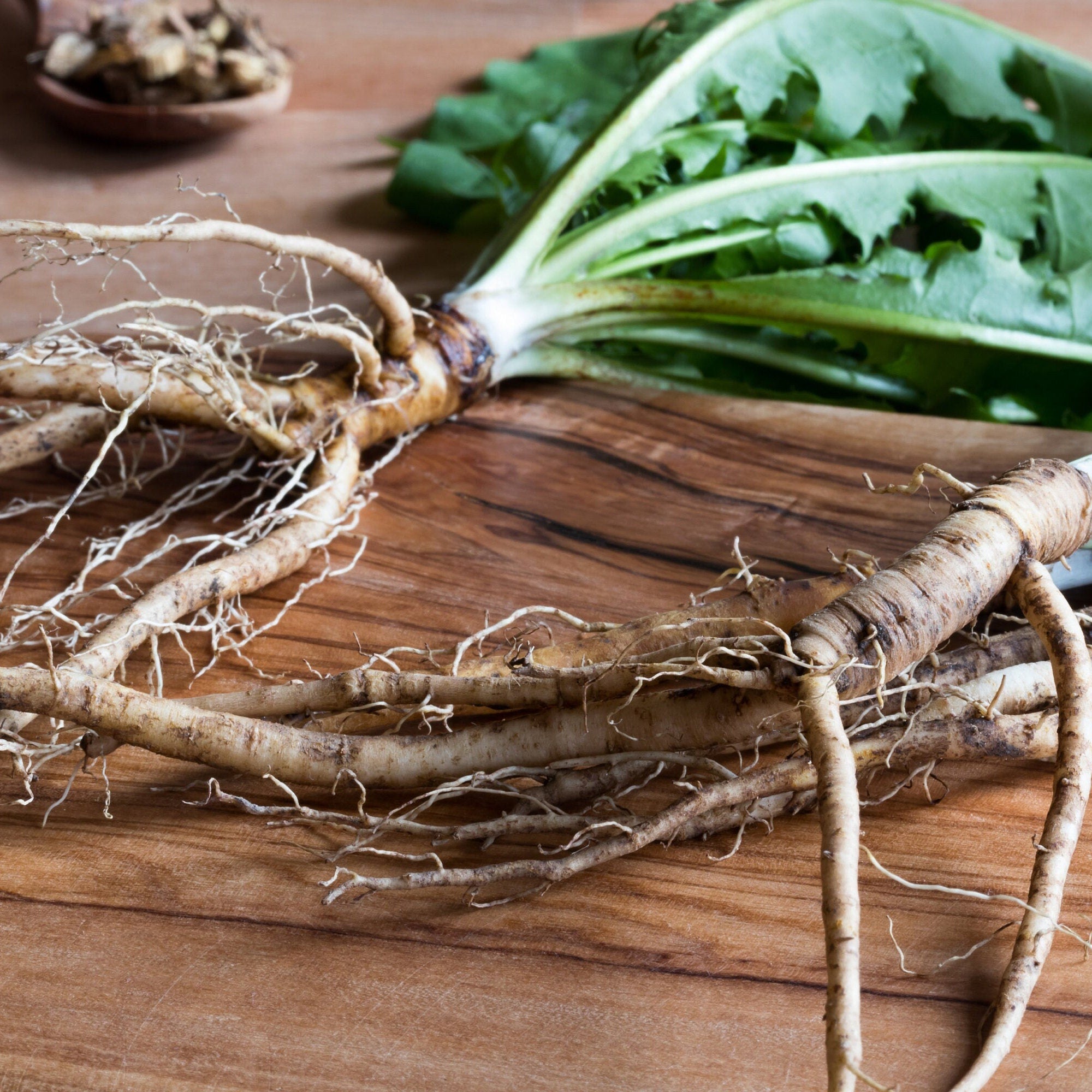 Organic Dandelion Root