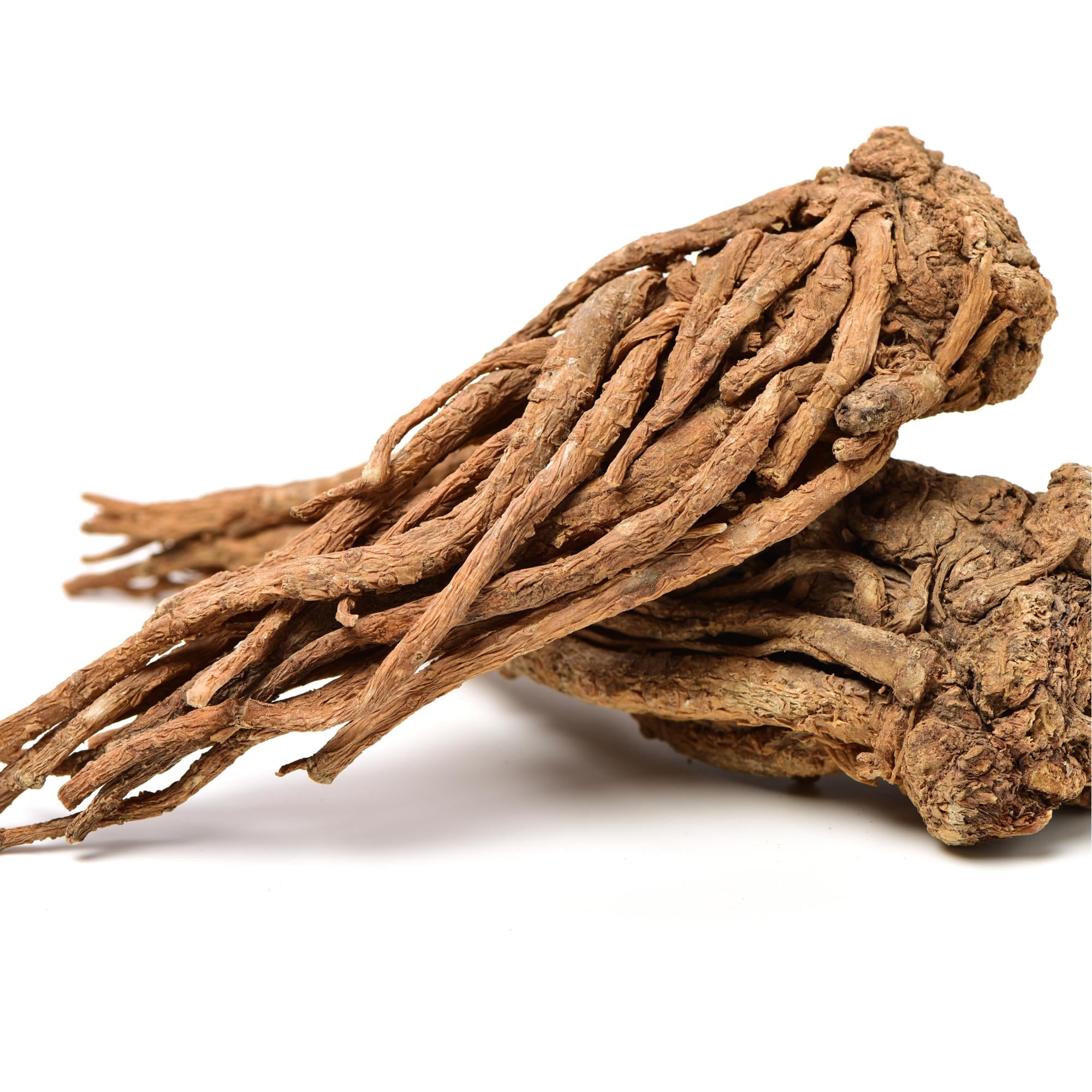 Organic Angelica Root