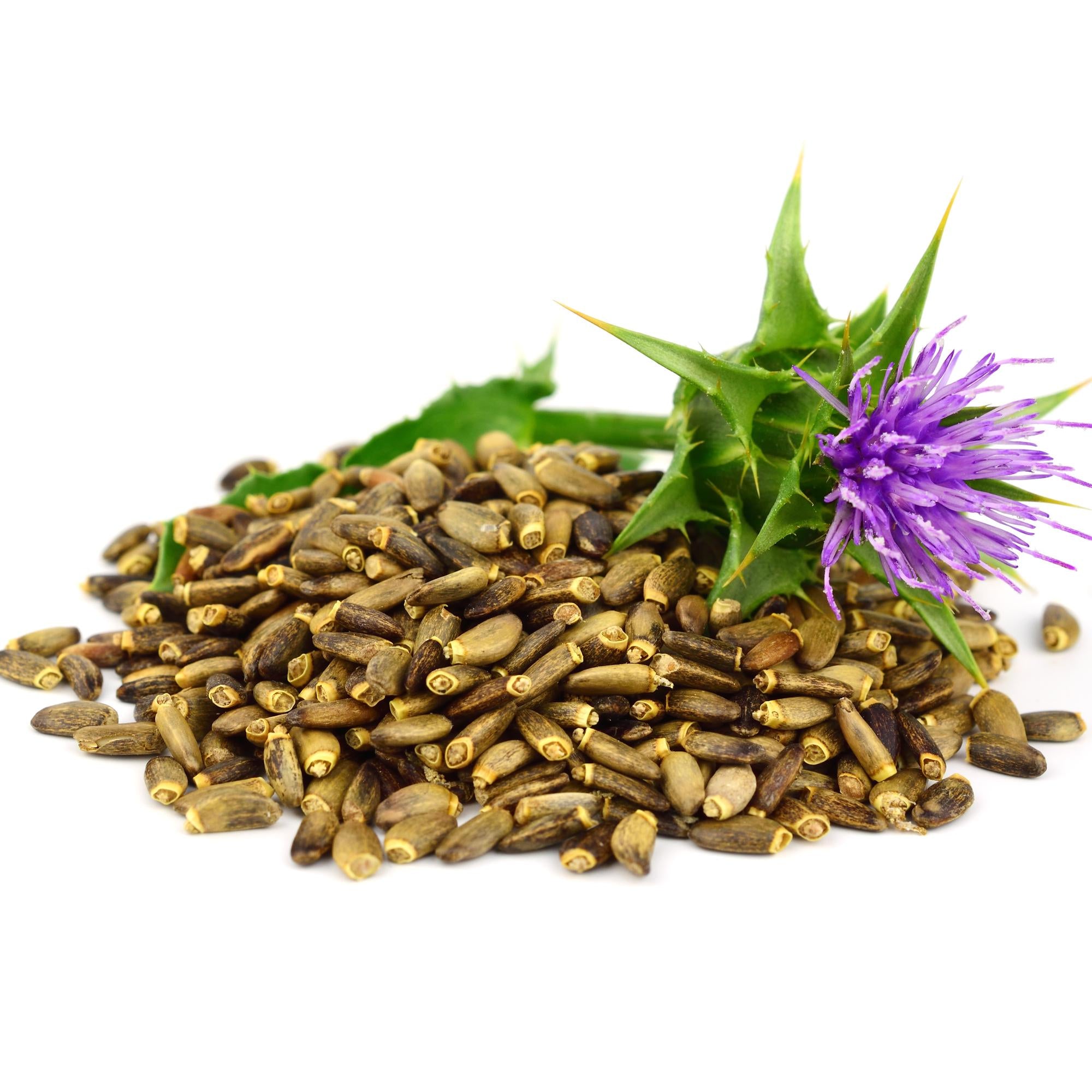 Milk Thistle Seed Whole - Organic