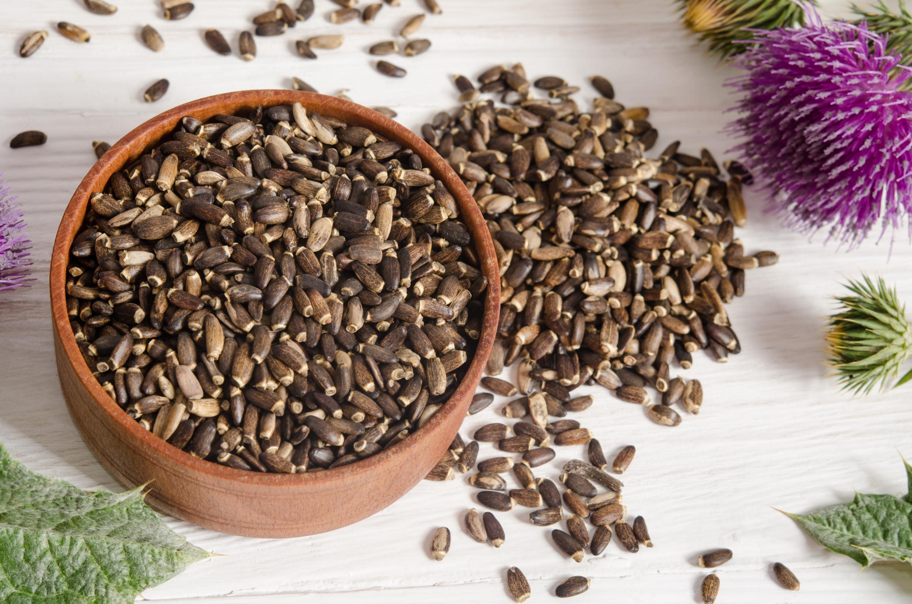 Milk Thistle Seed Whole - Organic