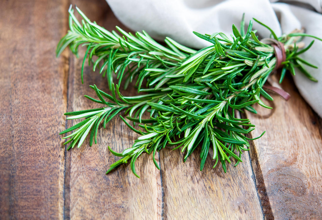 Organic Rosemary Leaf: Culinary Herb & Spice