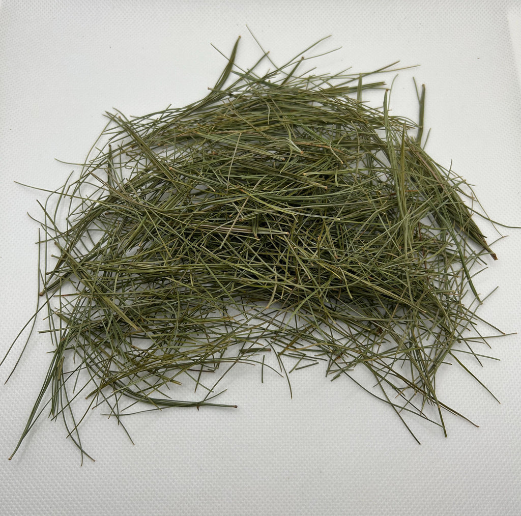 White Pine Needles Wildcrafted - Canadian