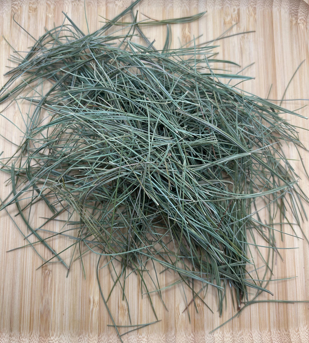 White Pine Needles Wildcrafted - Canadian