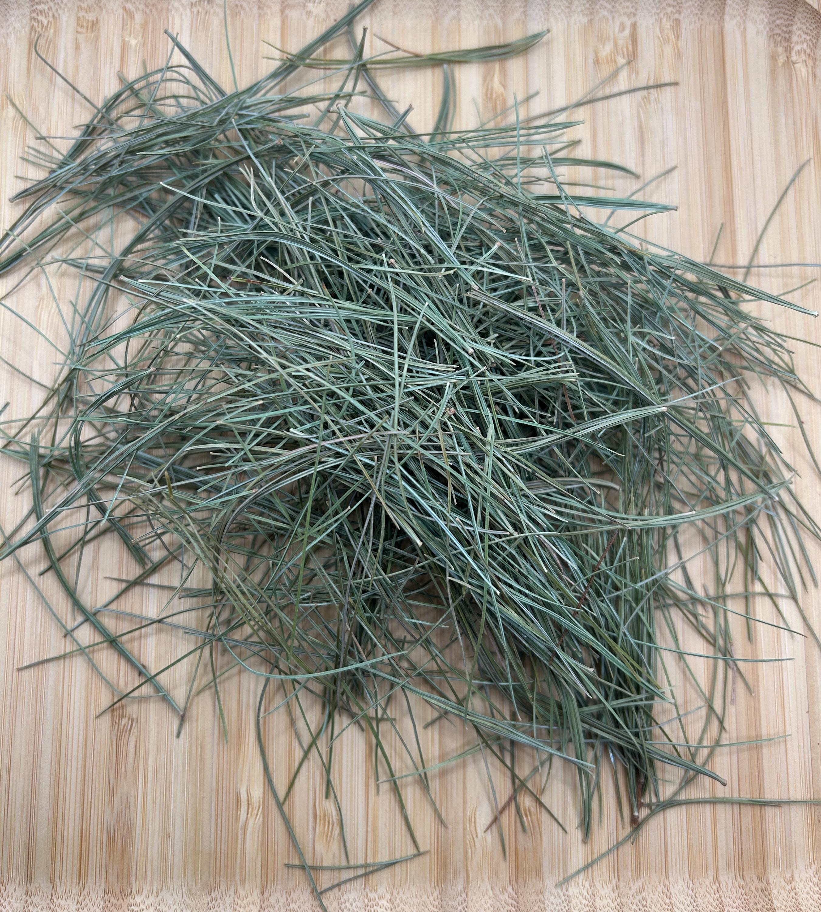 White Pine Needles Wildcrafted - Canadian
