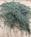 White Pine Needles Wildcrafted - Canadian