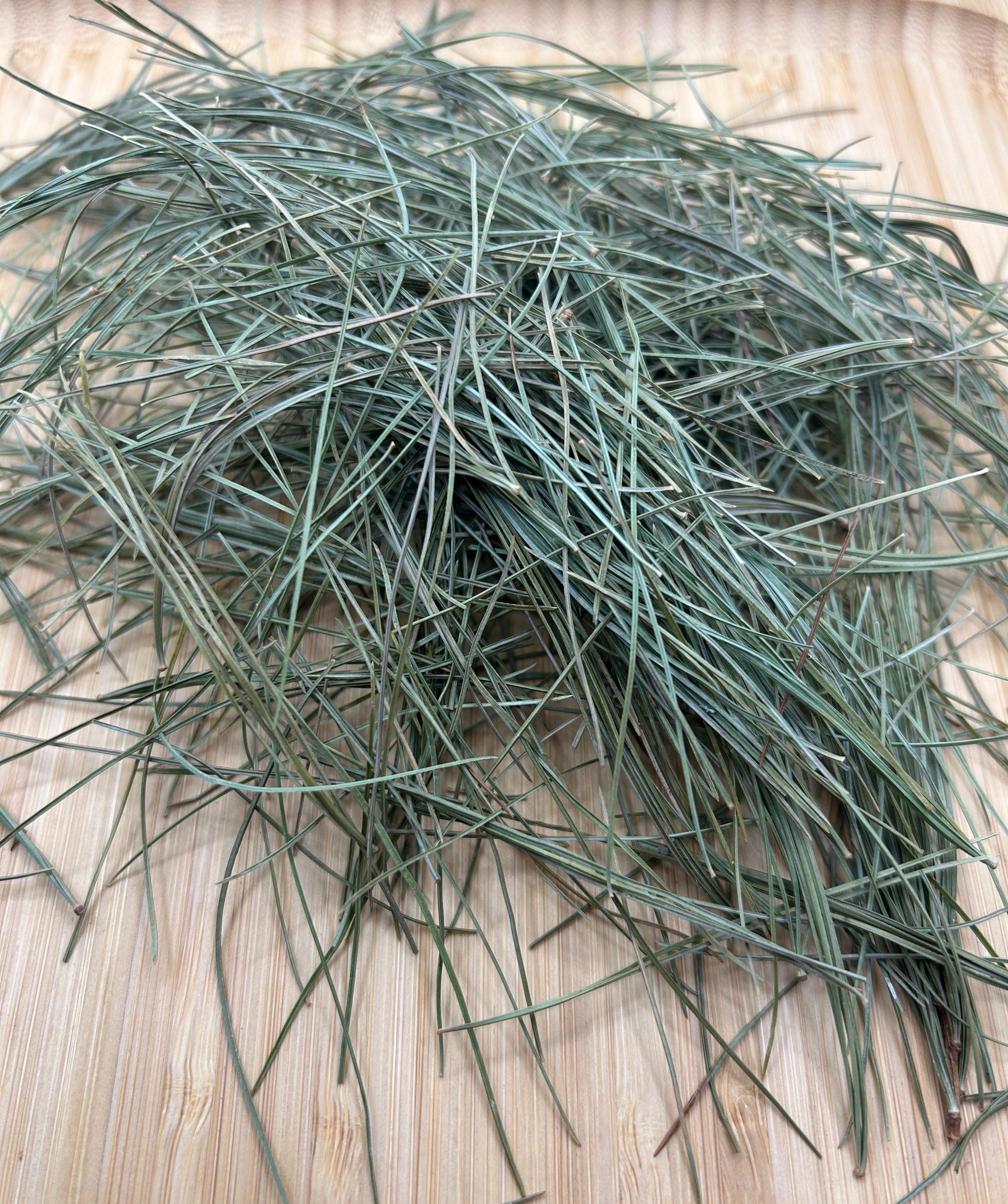 White Pine Needles Wildcrafted - Canadian