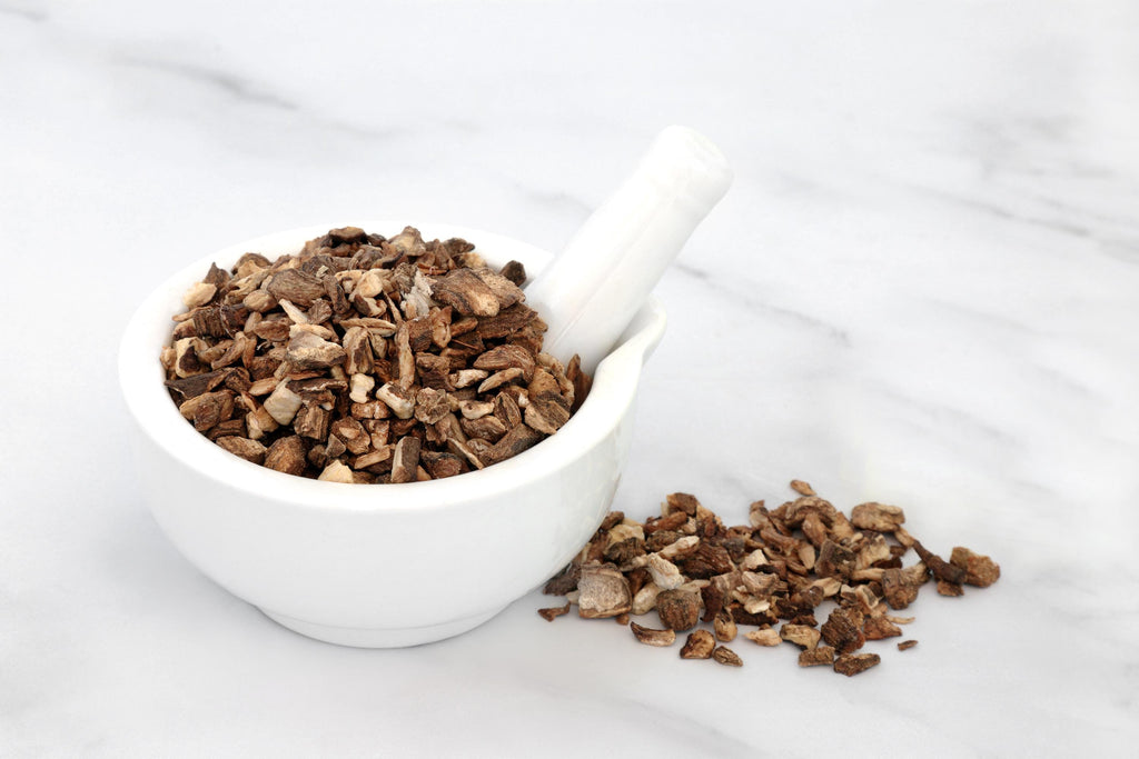 Organic Burdock Root - Arctium lappa