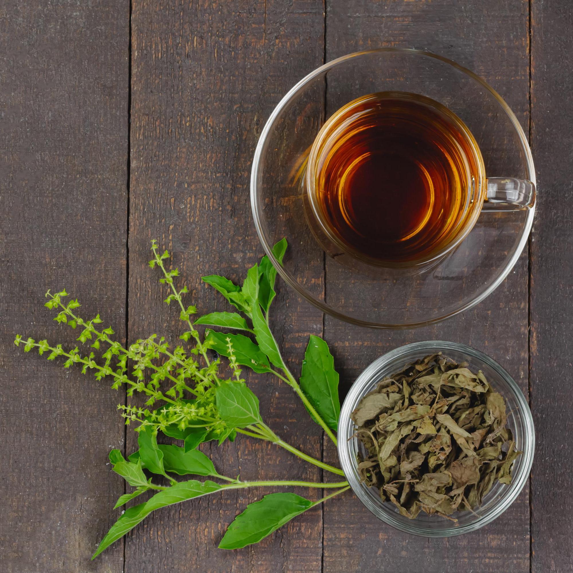 Holy Basil Tulsi Wildcrafted