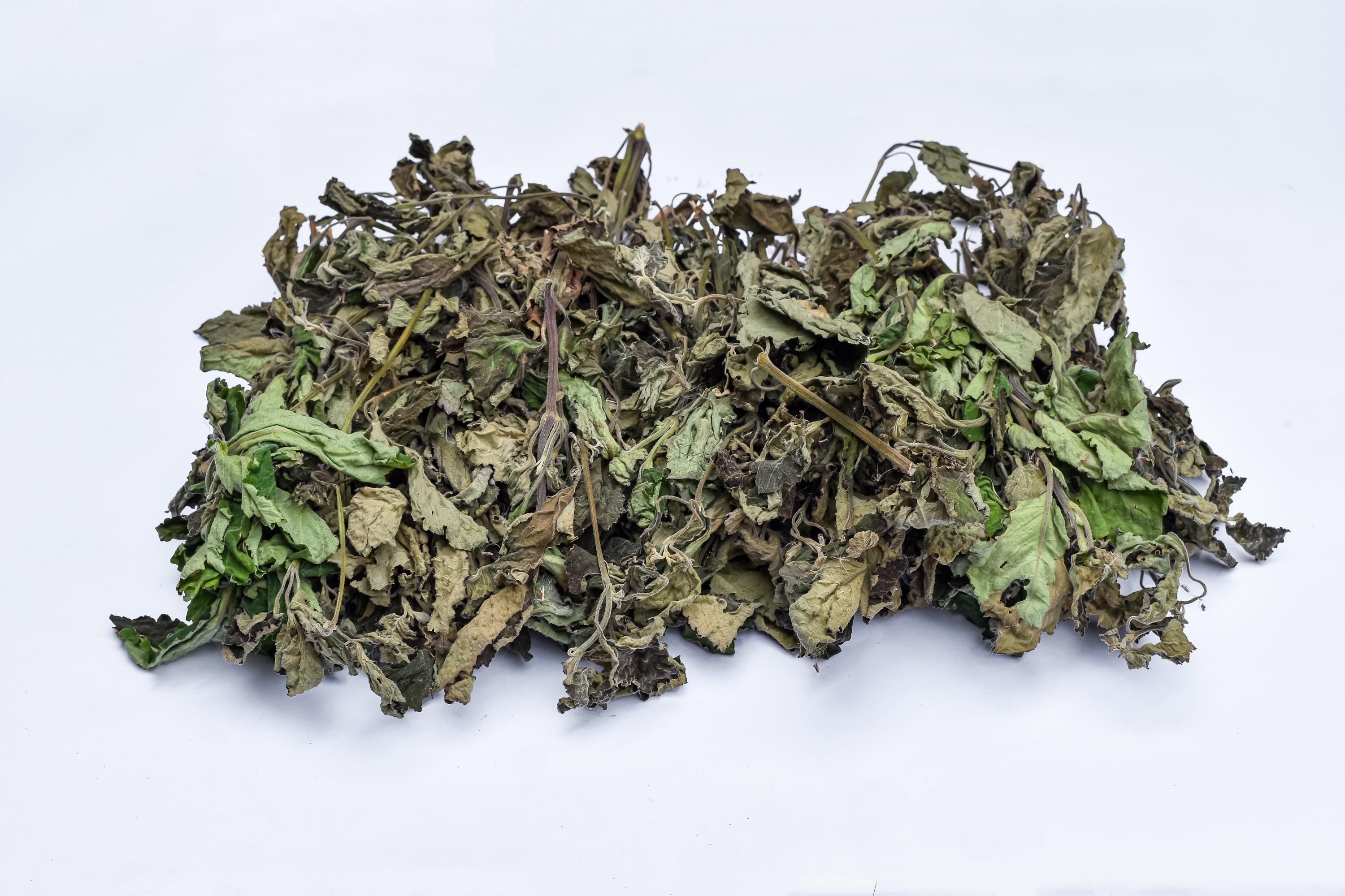 Patchouli Leaf Wildcrafted