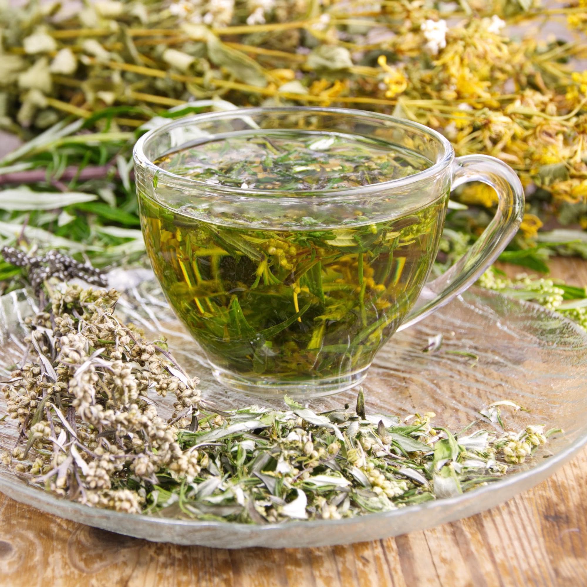 Organic Wormwood / Artemisia absinthium