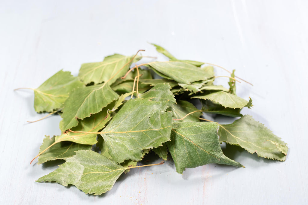 Organic Birch Leaves