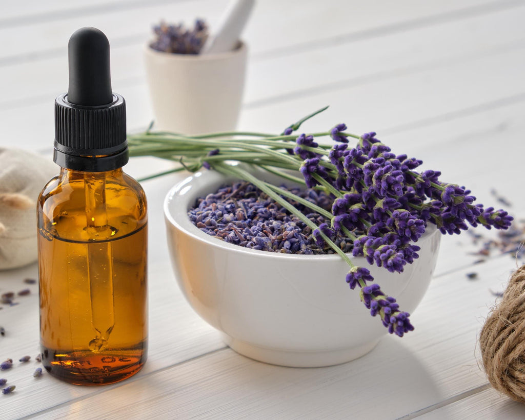 Organic English Lavender Flowers - Lavandula angustifolia