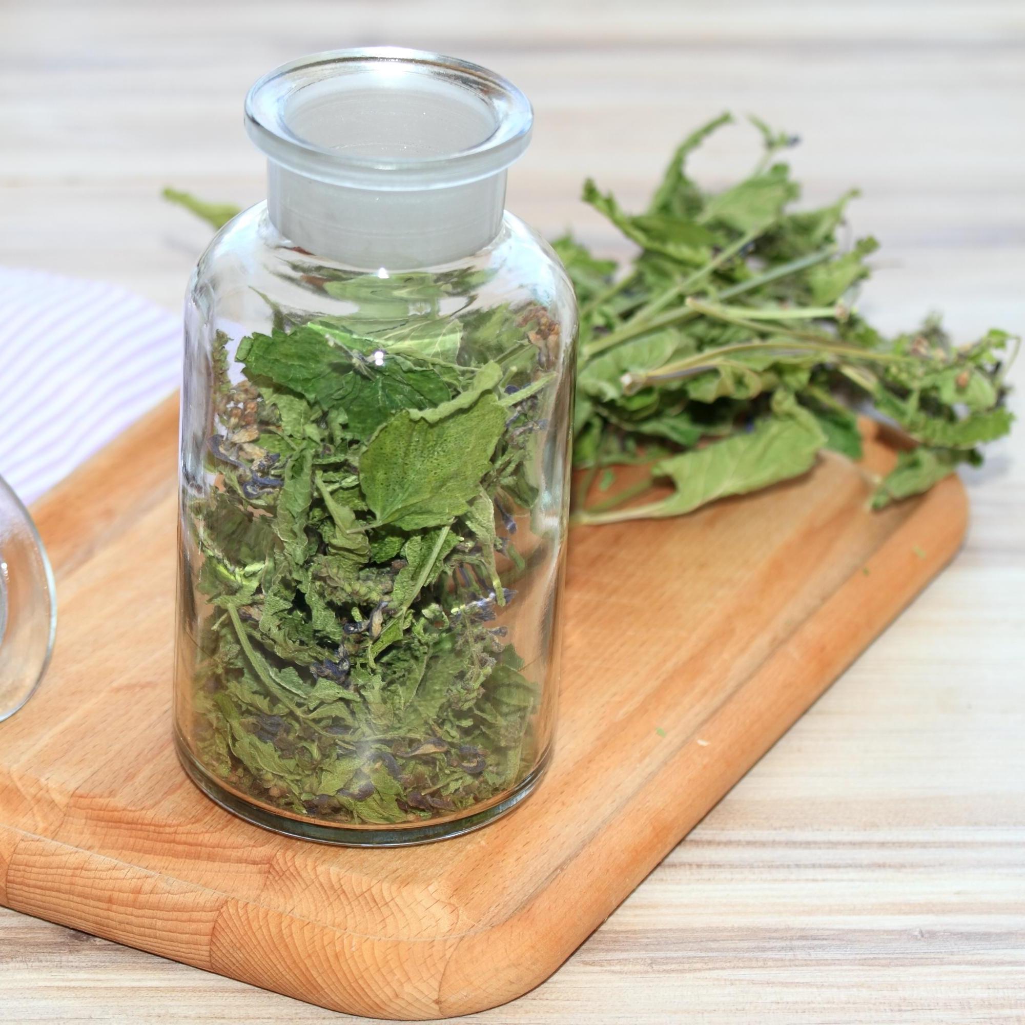 Organic Skullcap Herb / Scutellaria lateriflora