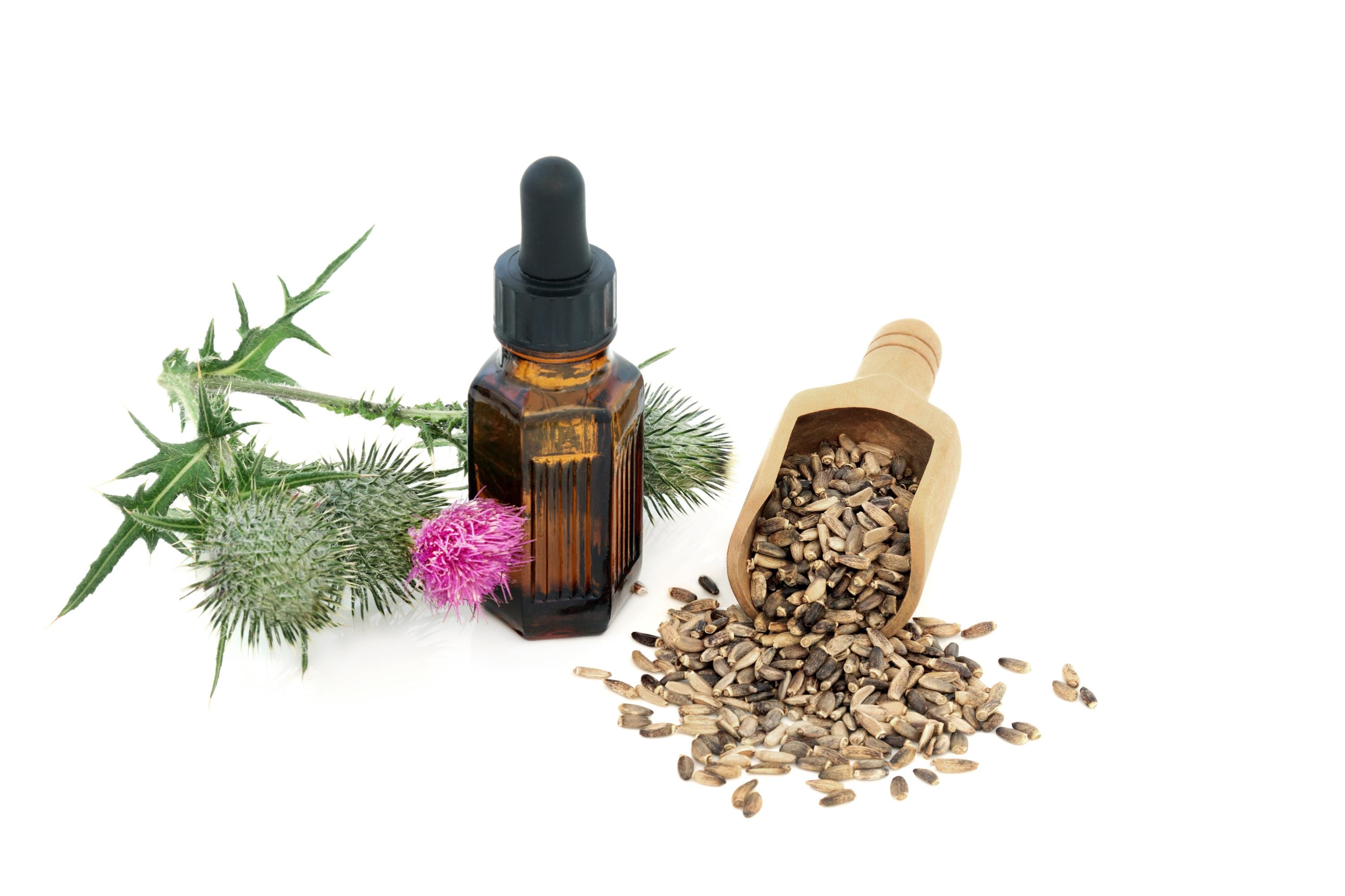 Milk Thistle Seed Whole - Organic