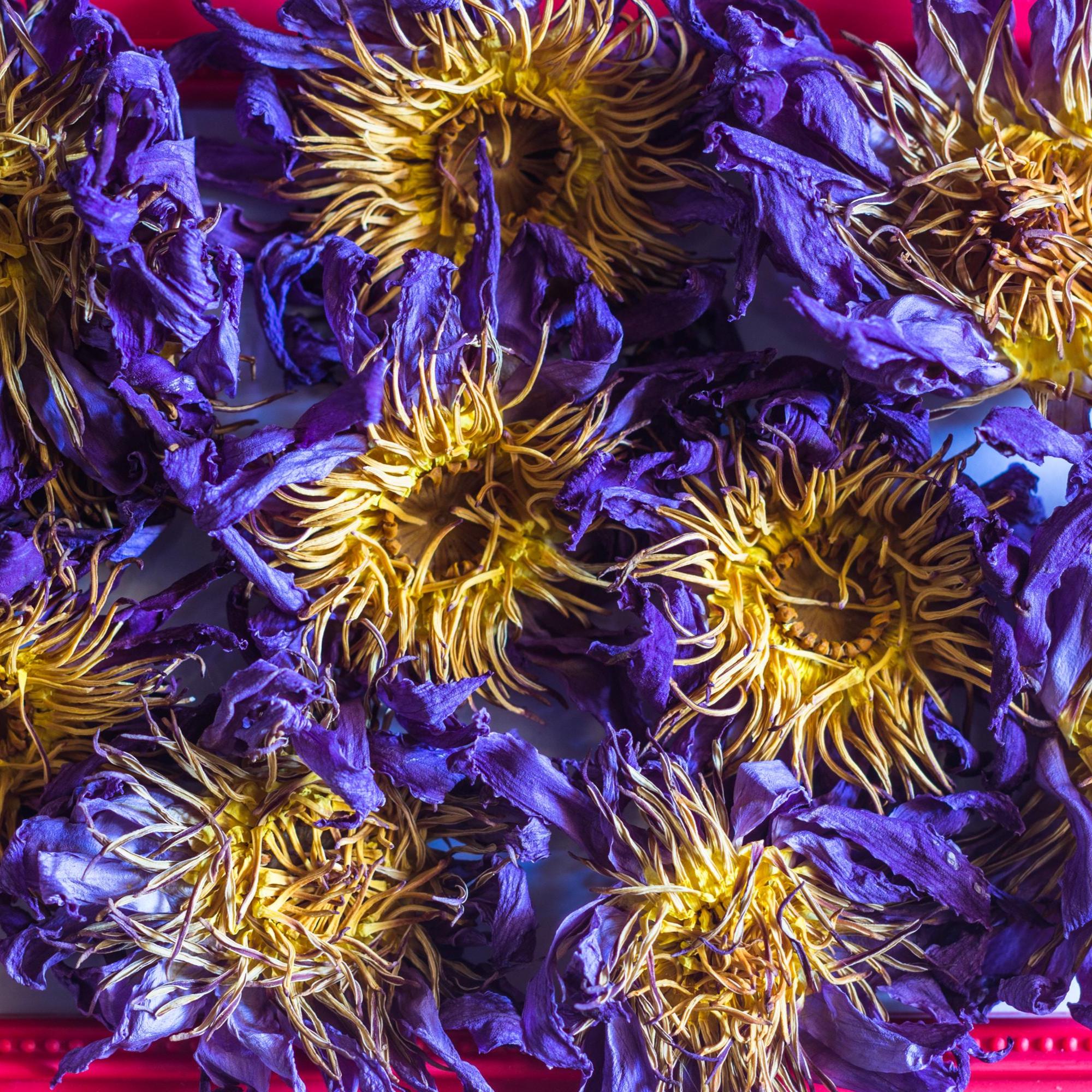 Blue Lotus Flower Wildcrafted - Whole
