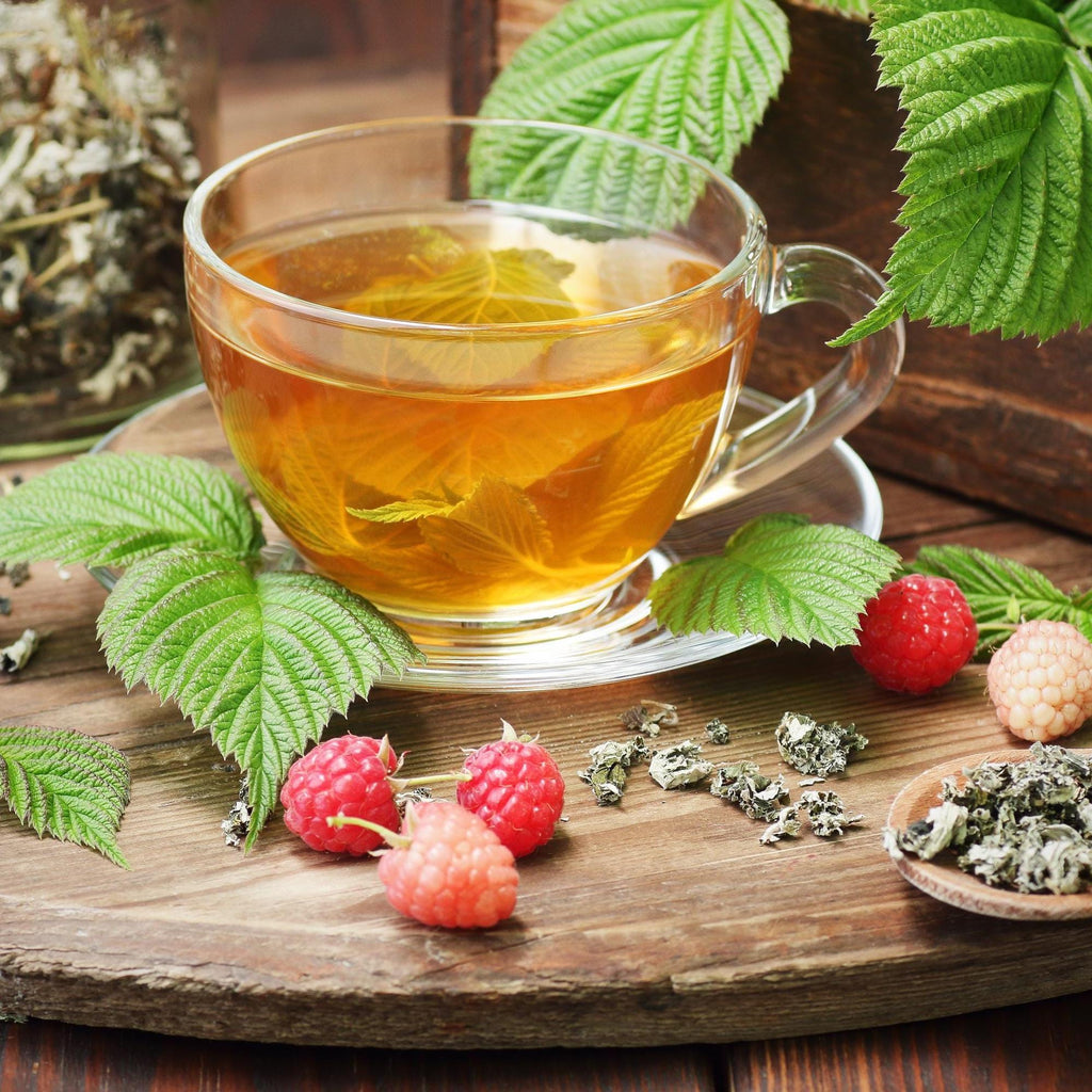 Organic Red Raspberry Leaf / Rubus idaeus