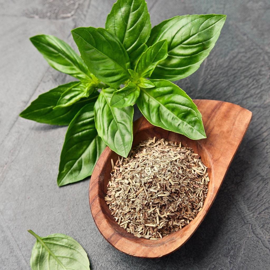 Organic Basil Leaf