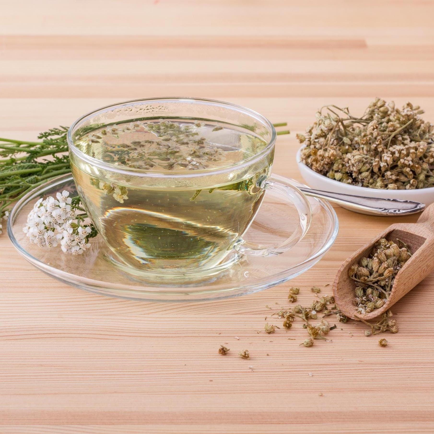 Yarrow Herb and Flowers Wildcrafted