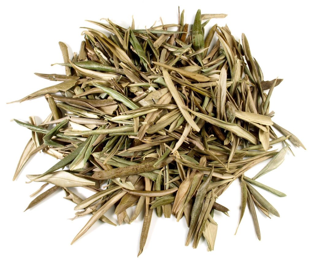 Olive Leaf - Wildcrafted