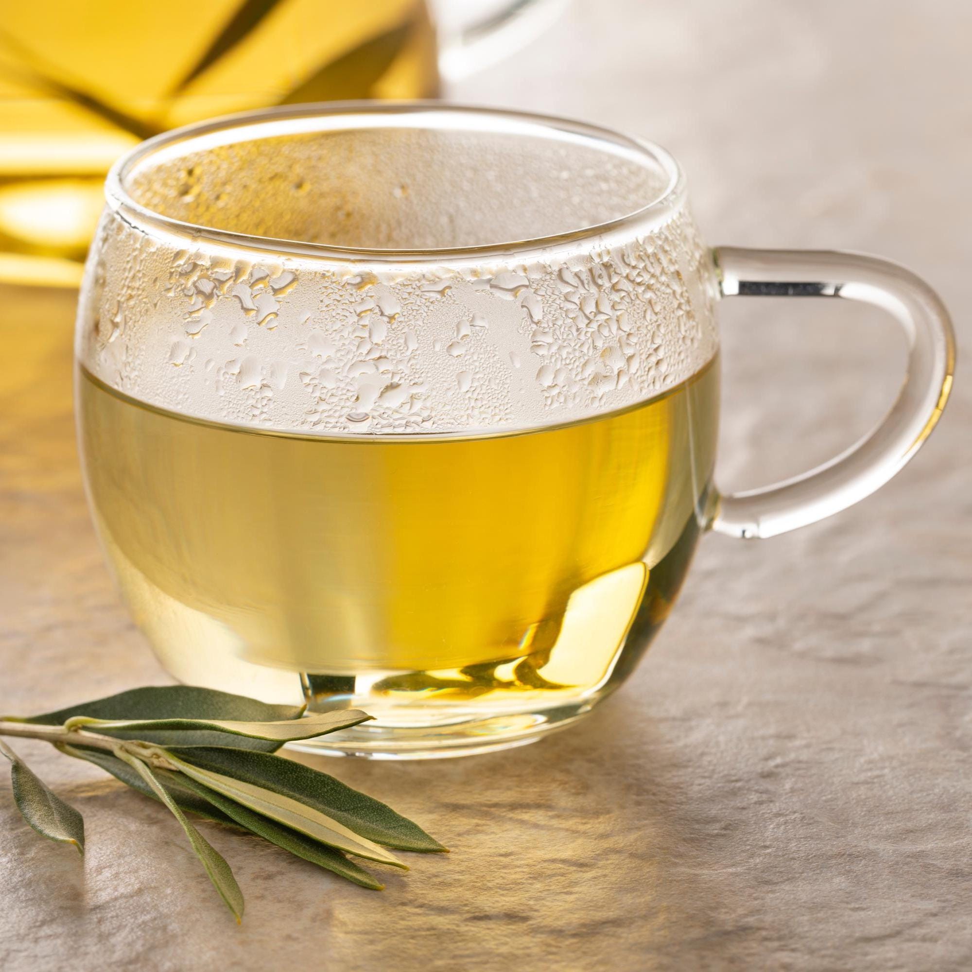 Olive Leaf - Wildcrafted