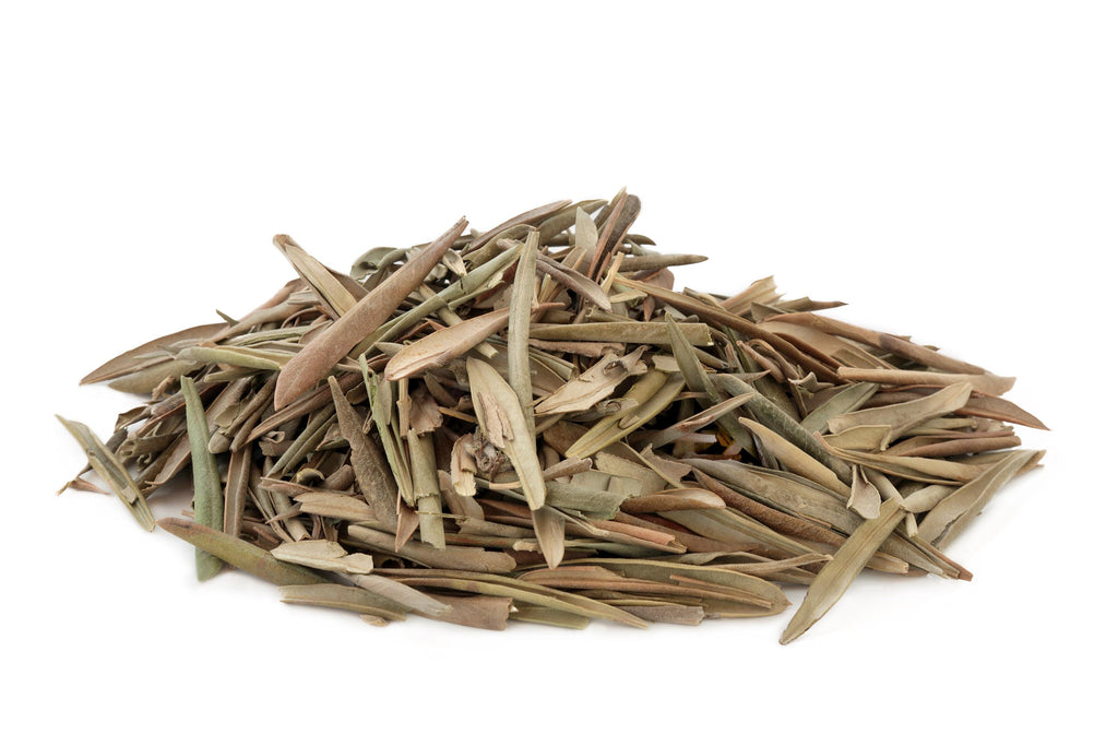 Olive Leaf - Wildcrafted