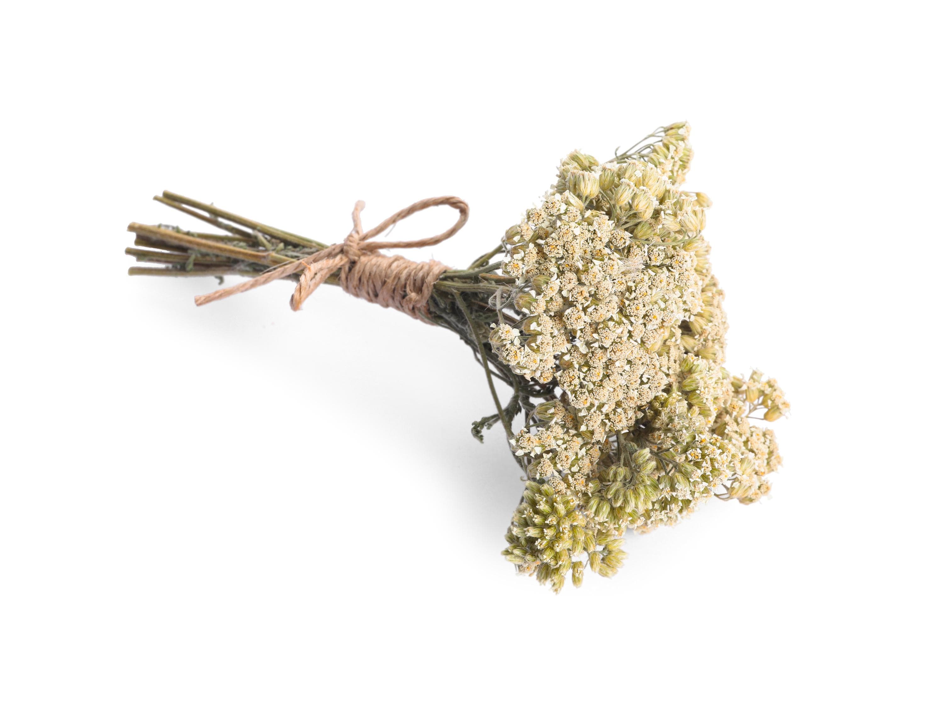 Yarrow Herb and Flowers Wildcrafted